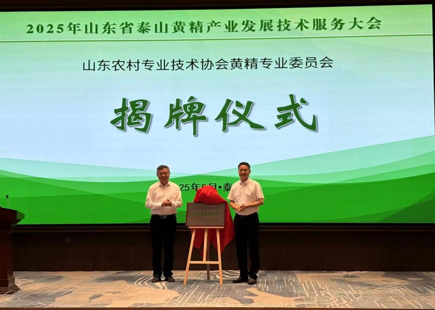 微信图片_20250625100321.png