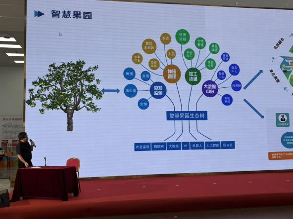 图片6.png 图片6.png